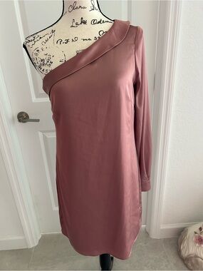 Express One-Shoulder Rose Dust Satin Dress